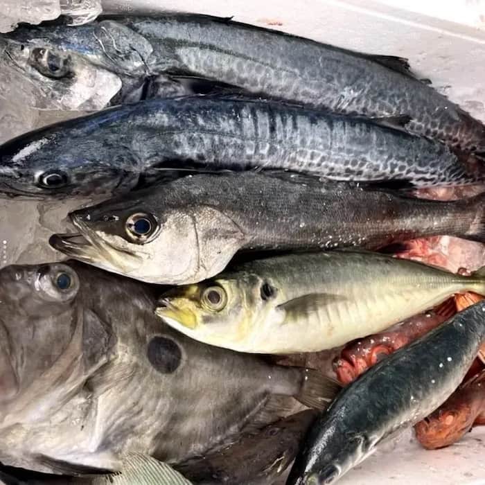 鮮魚おまかせコース12000(公式サイトの画像引用)