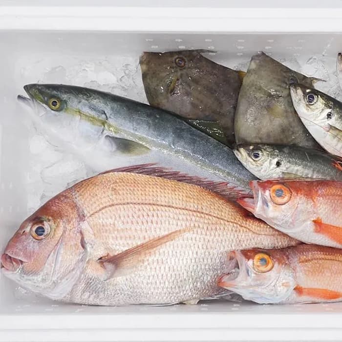 東海水産・IMATO　鮮魚おまかせコースの公式サイトの画像(公式サイトより引用)