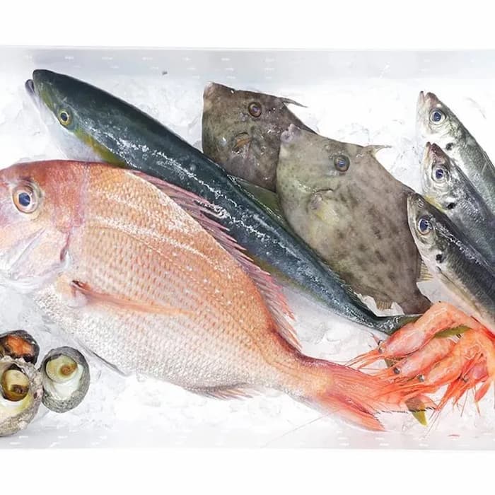 鮮魚おまかせコース4000(公式サイトの画像引用)