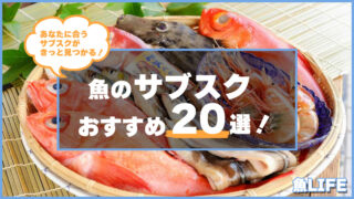 【2026年3月最新】おすすめの魚のサブスク20選のアイキャッチ画像