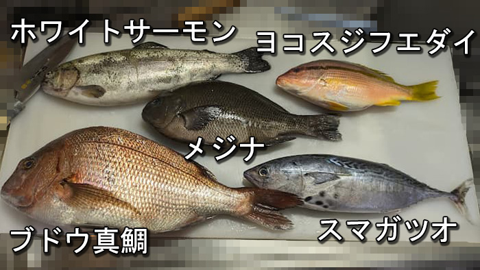 自分の家に届いた魚スクの海鮮ボックス