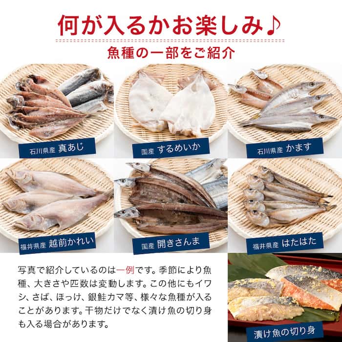 越前宝や干物定期便の内容例(公式サイトの画像引用)