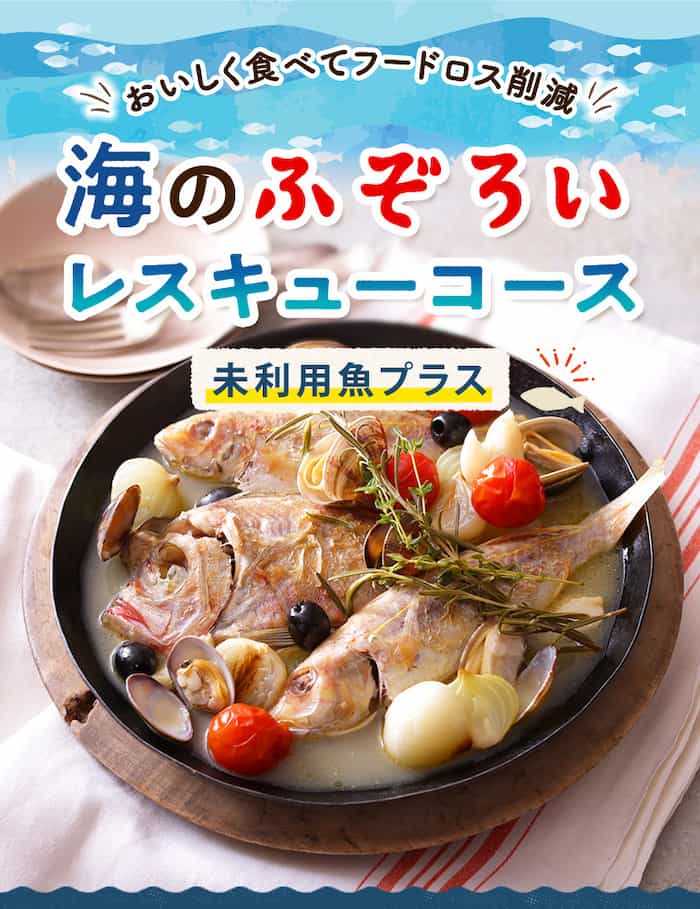 海のふぞろいレスキューコース公式サイトの画像(公式サイトより引用)