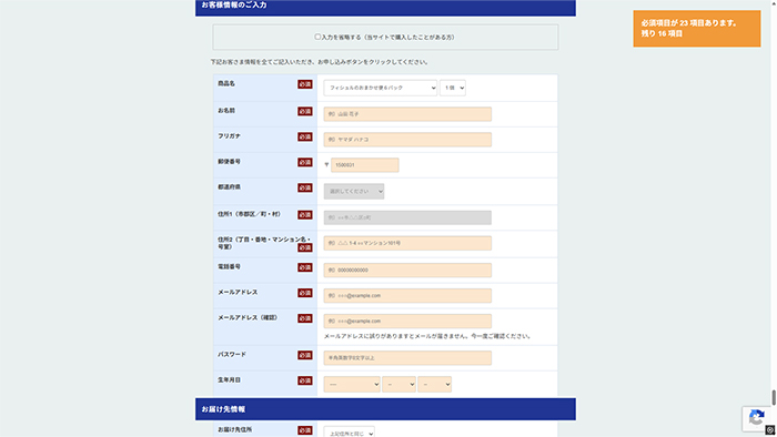 フィシュル申し込み画面