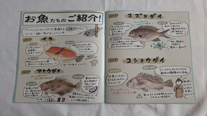 お魚図鑑　内容
