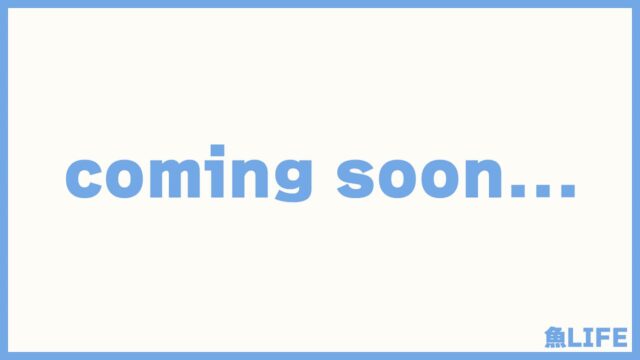 カテゴリーのアイキャッチ画像(仮)