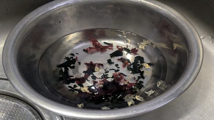 あしらいの海藻戻る前