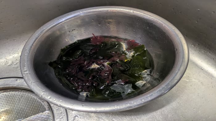 あしらいの海藻浸水後